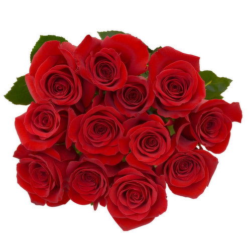 Cub Dozen Premium Long Stem Roses