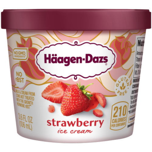 Haagen Dazs Strawberry Ice Cream