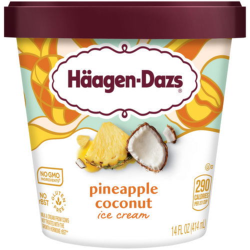 Haagen Dazs Pineapple Coconut Ice Cream