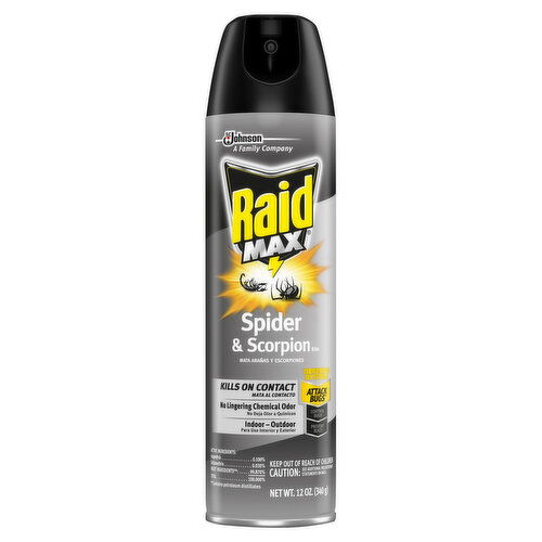 Raid Max Spider & Scorpion Killer, Indoor - Outdoor