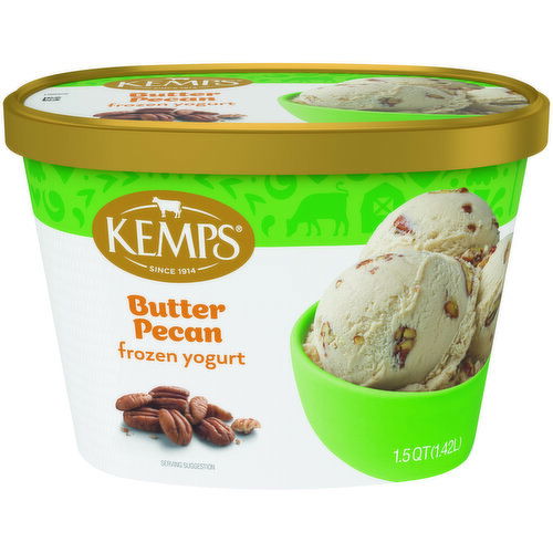 Kemps Butter Pecan Frozen Yogurt
