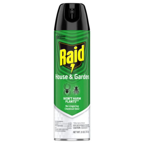 Raid House & Garden