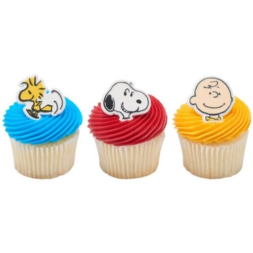 Cub Snoopy and Charlie Brown Cupcakes with Character Rings 