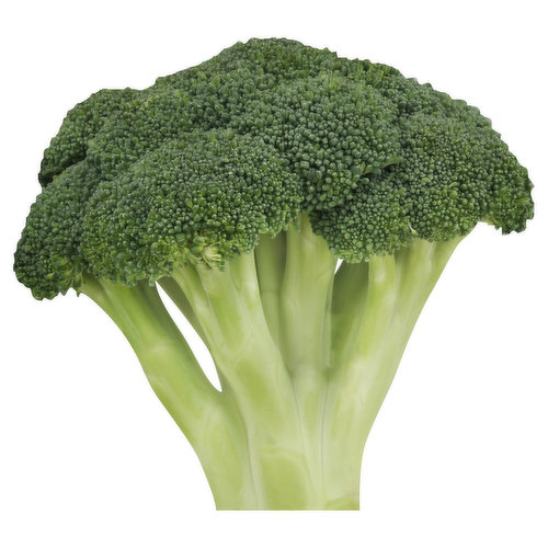 Produce Broccoli Bunch