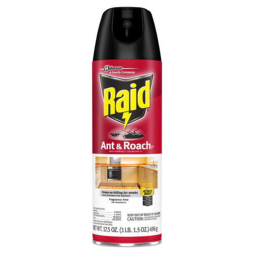 Raid Ant & Roach Killer 26, Fragrance Free