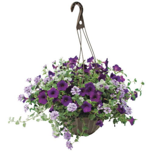 Cub Floral Hanging Basket, 12"