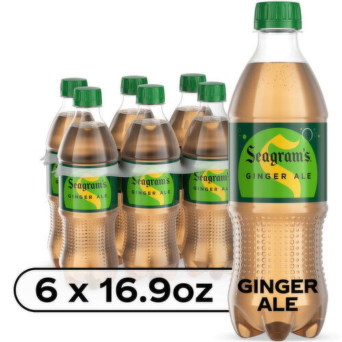 Seagrams Ginger Soda Soft Drinks