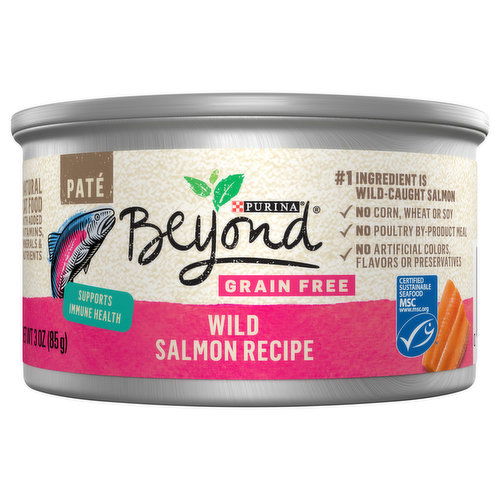 Beyond Cat Food, Natural, Wild Salmon Recipe, Grain Free, Pate