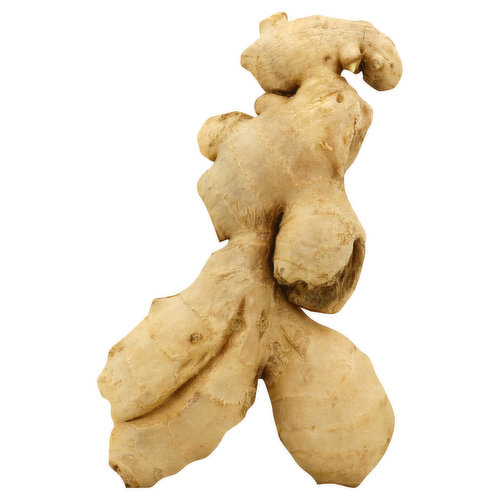 Fresh Ginger Root