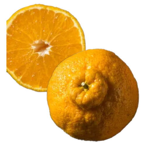 Fresh Sumo Mandarins