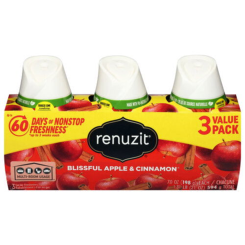 Renuzit Gel Air Fresheners, Blissful Apple & Cinnamon, Value Pack