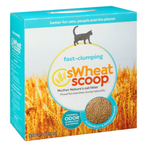 sWheat Scoop Cat Litter, Fast-Clumping