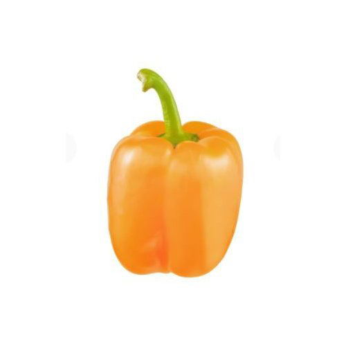 Fresh Orange Bell Pepper