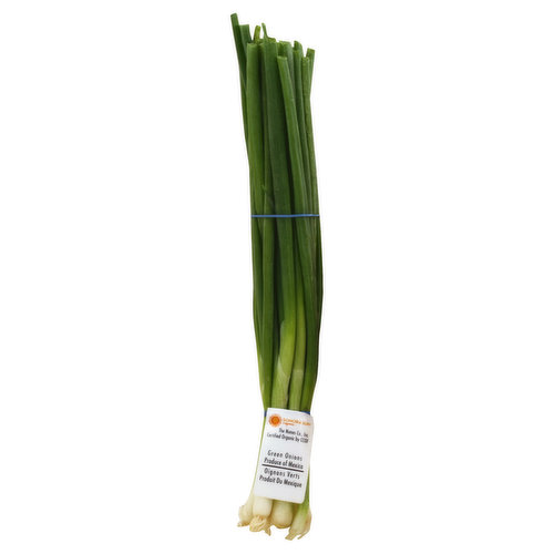 Produce Green Onions, Organic