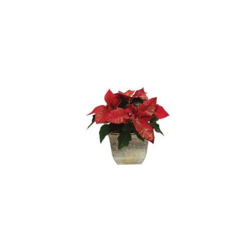 Gertens 6.5" Poinsettia Red