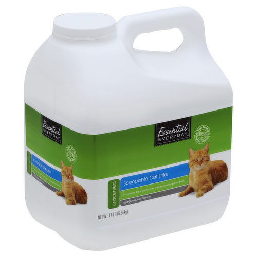 Essential Everyday Cat Litter, Scoopable, Unscented