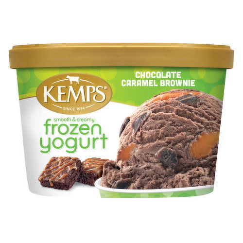 Kemps Chocolate Caramel Brownie Frozen Yogurt