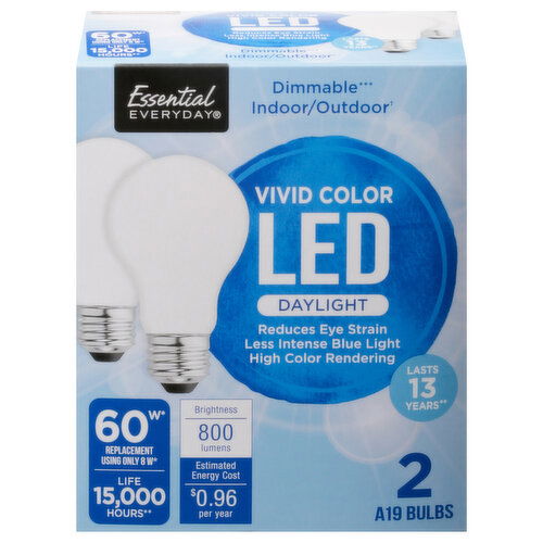 Essential Everyday Light Bulbs, A19, Dimmable, Vivid Color, Daylight, LED, 60 Watts