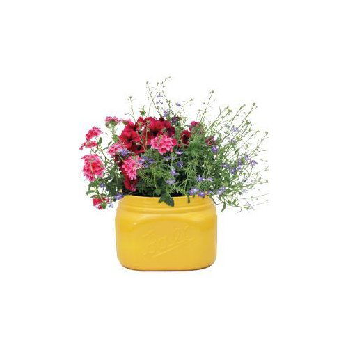 Cub Floral 8" Mason Jar Planter