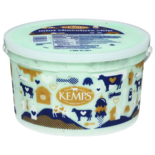 Kemps Ice Cream, Mint Chocolate Chip, Reduced Fat