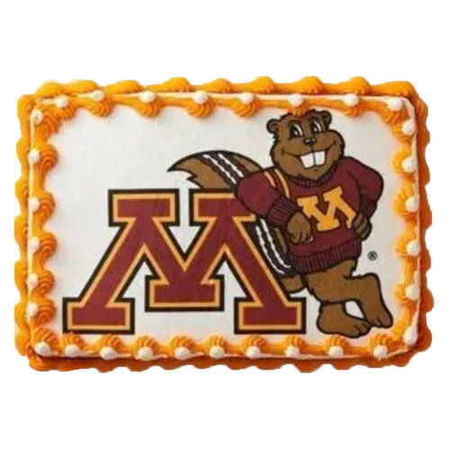 Cub Minnesota Gophers Cake