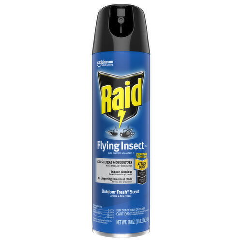 Raid Flying Insect Killer, Outdoor Fresh Scent