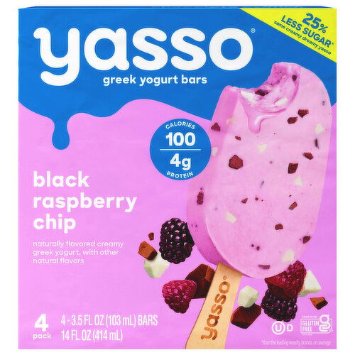 Yasso Yogurt Bars, Black Raspberry Chip, Greek