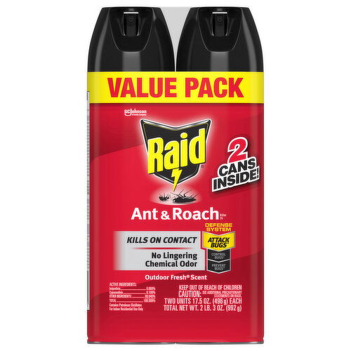 Raid Ant & Roach, Outdoor Fresh Scent, Value Pack