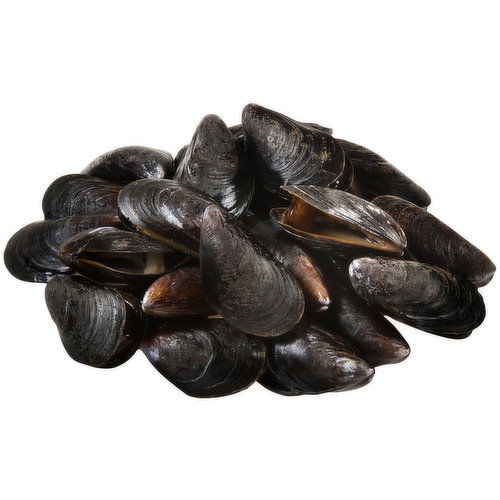 Fresh Eastern Black Mussels