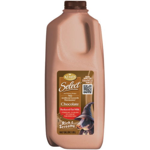 Kemps Chocolate Reduced Fat Milk