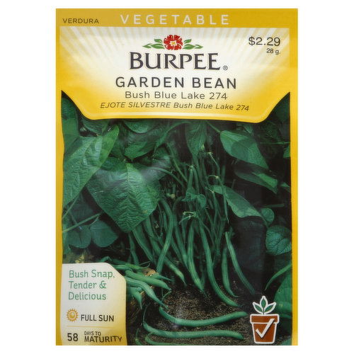 Burpee Seeds, Garden Bean, Bush Blue Lake 274