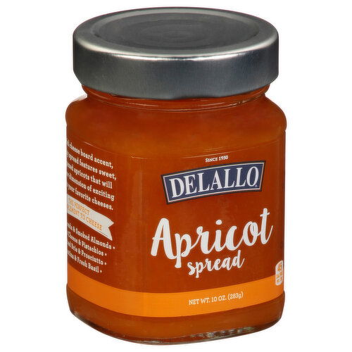 Delallo Spread, Apricot