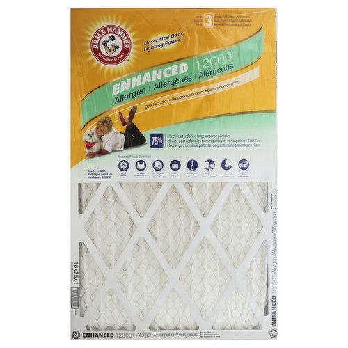 Arm & Hammer Enhanced 12000 Air Filter, Allergen
