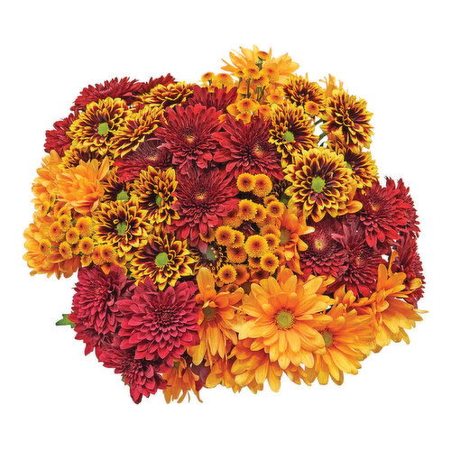 Cub Floral Fall Mega Bunch Poms