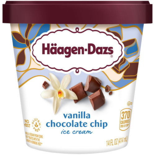 Haagen Dazs Vanilla Chocolate Chip Ice Cream