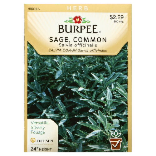 Burpee Seeds, Sage, Common