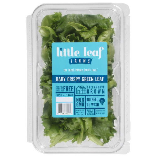 Little Leaf Farms Lettuce, Baby Crispy, Green Leaf