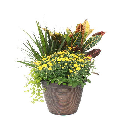 Cub Garden Fall Harvest Planter