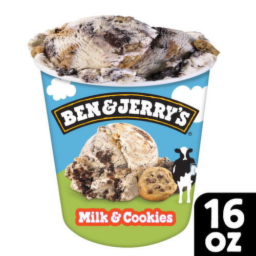 Ben & Jerry's Ice Cream Pint