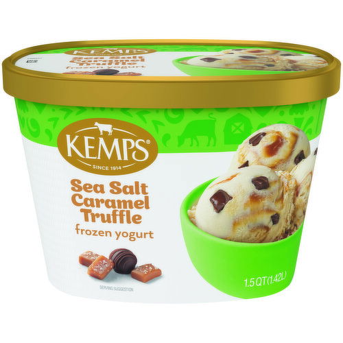 Kemps Sea Salt Caramel Truffle Frozen Yogurt