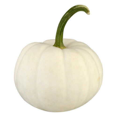 Bay Baby Produce Pumpkin, Casper