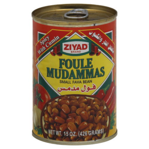 Ziyad Foule Mudammas