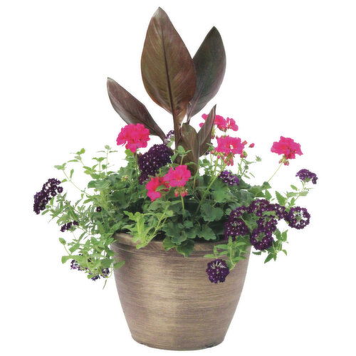 Cub Floral 13" Premium Combo Patio Pot
