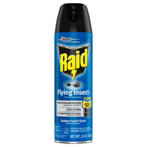 Raid Flying Insect Killer, Outdoor Fresh Scent