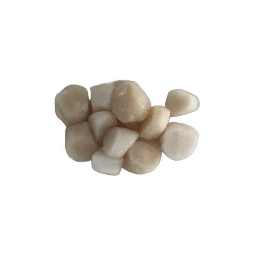 Cub Sea Scallops Medium 10/20 Frozen