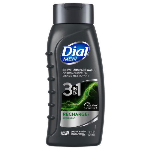 Dial Recharge Body + Hair + Face Wash, Cedar Leaf, 3 in 1, Men