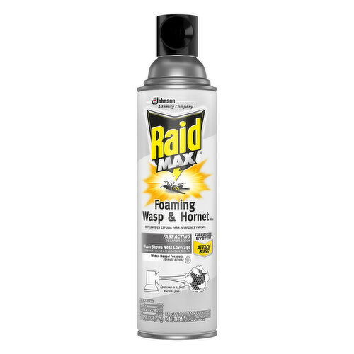 Raid Wasp & Hornet Killer, Foaming