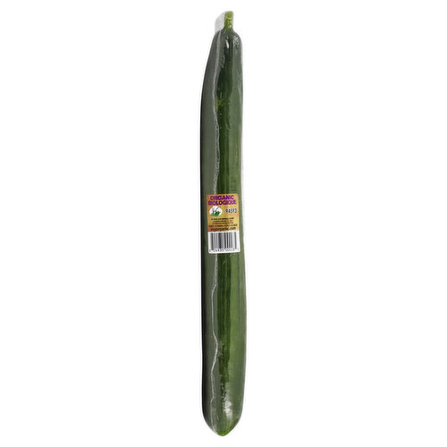 Fresh Organic English Cucumber