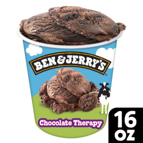 Ben & Jerry's Ice Cream Pint