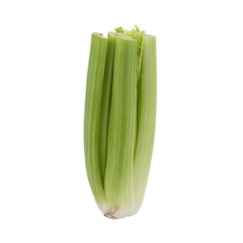 Fresh Celery